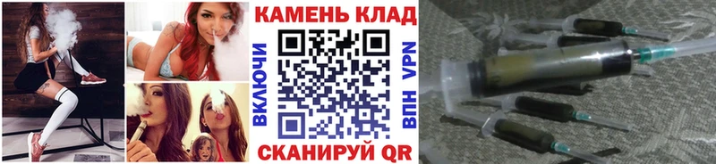 Купить где  Суворов  ГАШИШ гарик 