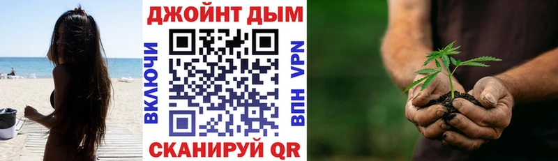 Конопля семена  Купить где  Суворов 